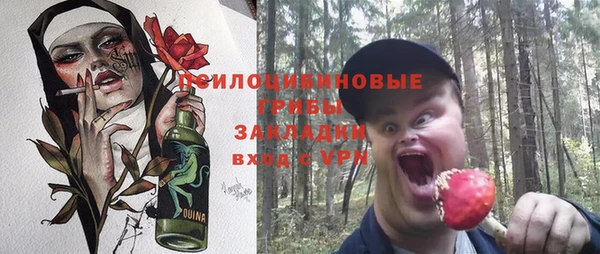 молекула духа Богородск