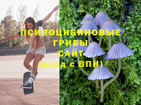 шишки Майский